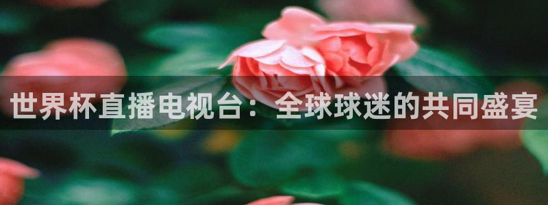 世界杯：世界杯直播电视台：全球球迷的共同盛宴