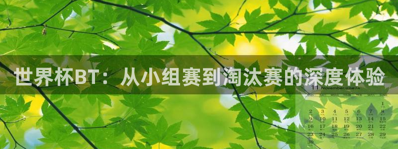 世界杯对阵表:世界杯BT:从小组赛到淘汰赛的深度体验