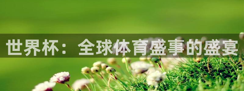 2026世界杯直播：世界杯：全球体育盛事的盛宴