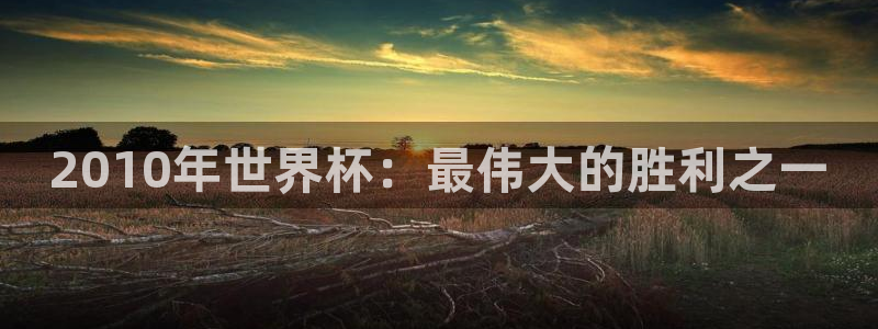 世界杯直播：2010年世界杯：最伟大的胜利之一