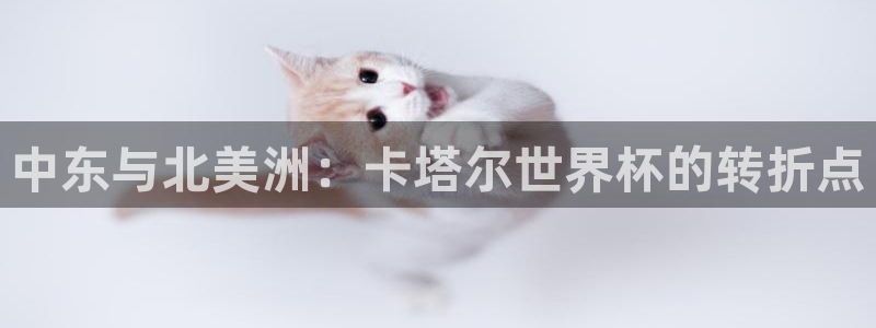 世界杯足球2026：中东与北美洲：卡塔尔世界杯的转折点