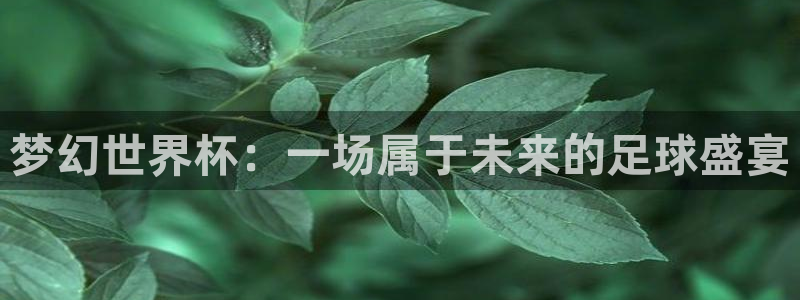 世界杯第一场比赛：梦幻世界杯：一场属于未来的足球盛宴