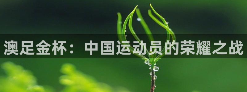 世界杯球队：澳足金杯：中国运动员的荣耀之战