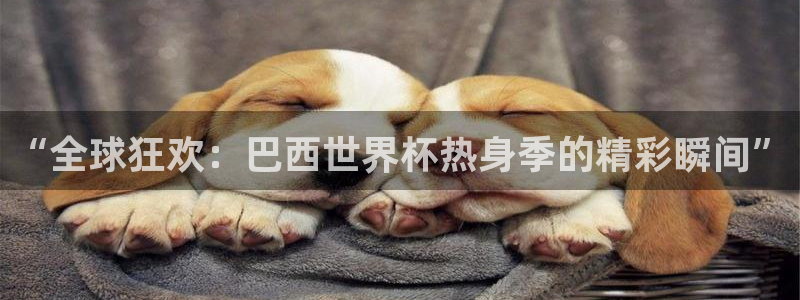 世界杯直播高清：“全球狂欢：巴西世界杯热身季的精彩瞬间”