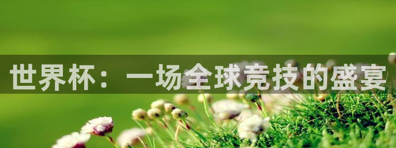 2026年世界杯直播平台：世界杯：一场全球竞技的盛宴